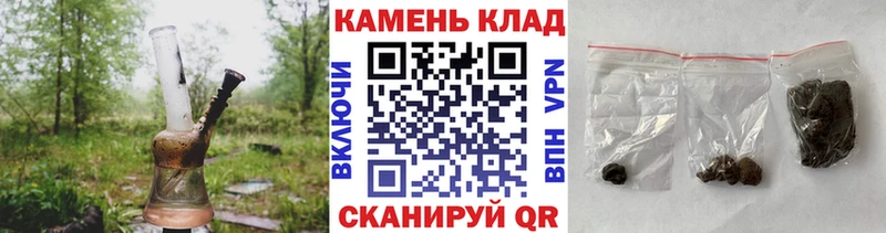 мориарти телеграм наркотики Стародуб Гашиш индика сатива