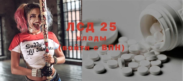 гашик Аркадак