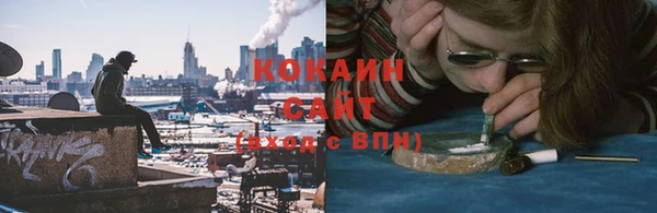 гашик Аркадак
