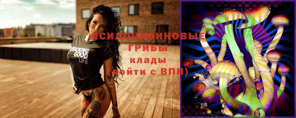 спиды Арсеньев