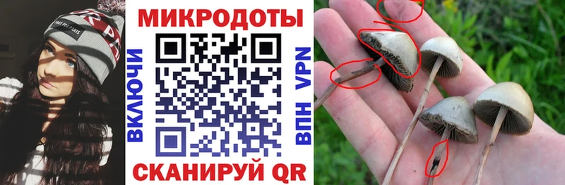Псилоцибиновые грибы ЛСД  магазин  наркотиков  Стародуб 